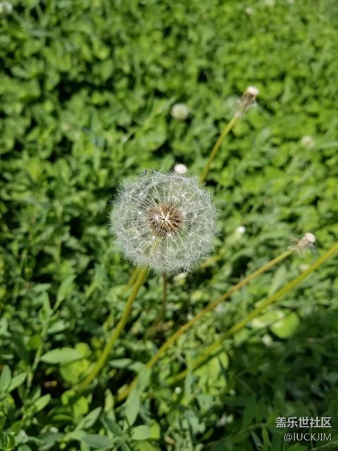 【S8曬單】為了你，我輾轉(zhuǎn)反側