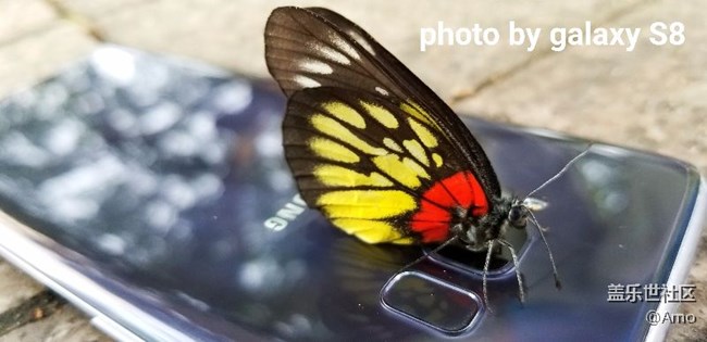 三星S8為愛(ài)奔跑-廣州辦中山聯(lián)絡(luò)處-中山一隊(duì) 三星S8為愛(ài)奔跑-廣州辦中山聯(lián)絡(luò)處-中山一隊(duì)