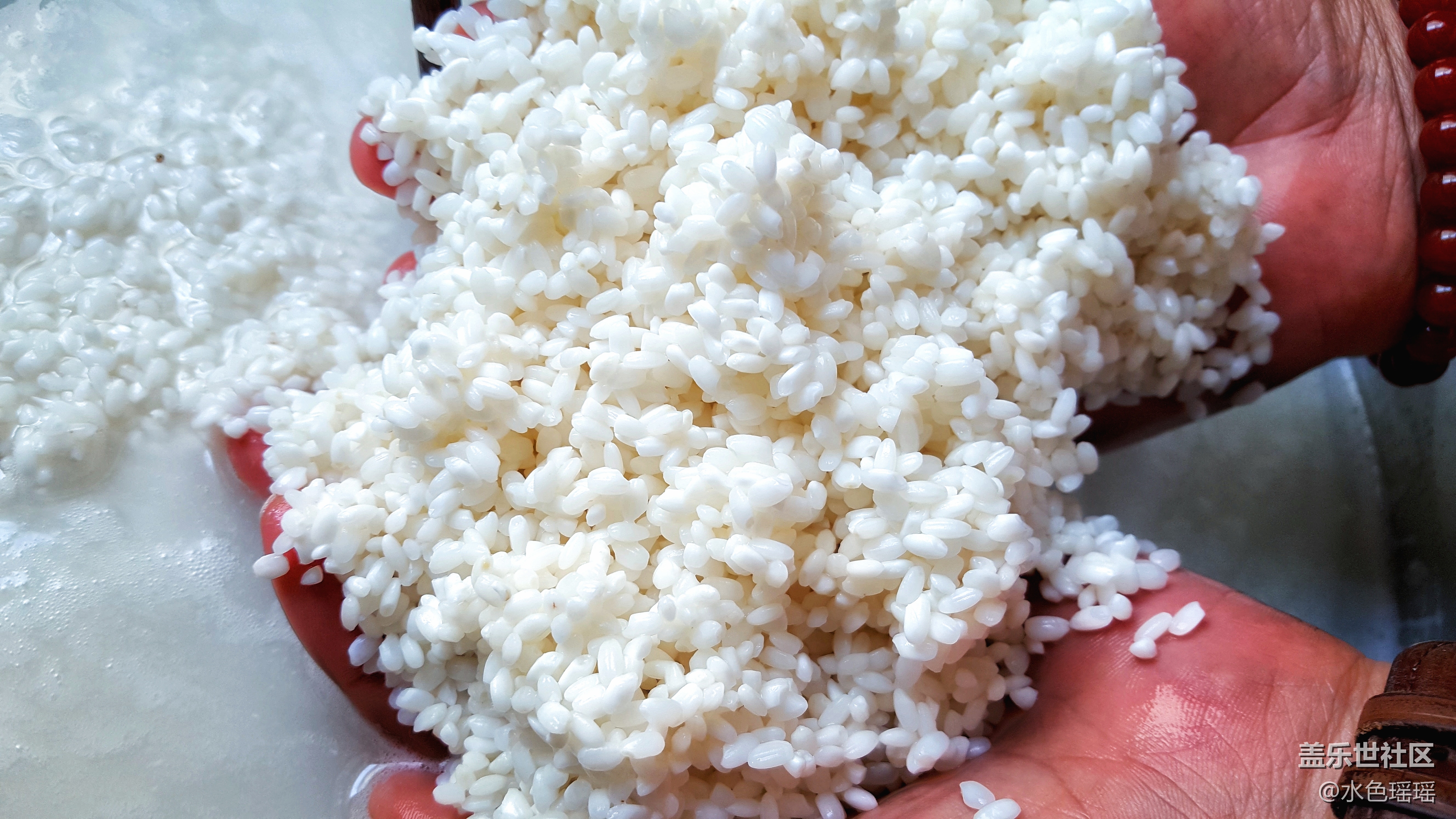 《端午習俗》+烏魯木齊+蘆葦葉包蜜棗粽子