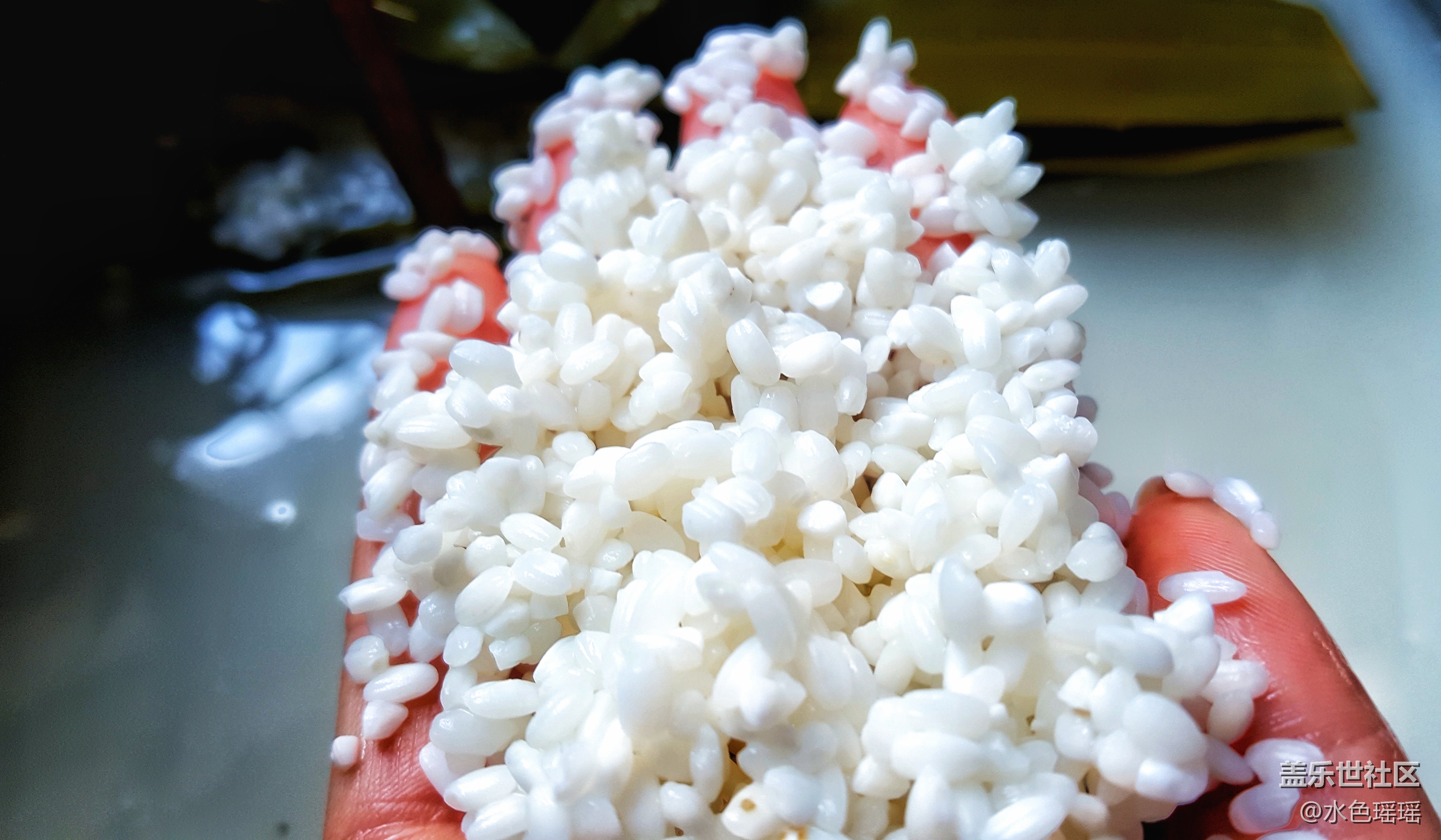 《端午習俗》+烏魯木齊+蘆葦葉包蜜棗粽子