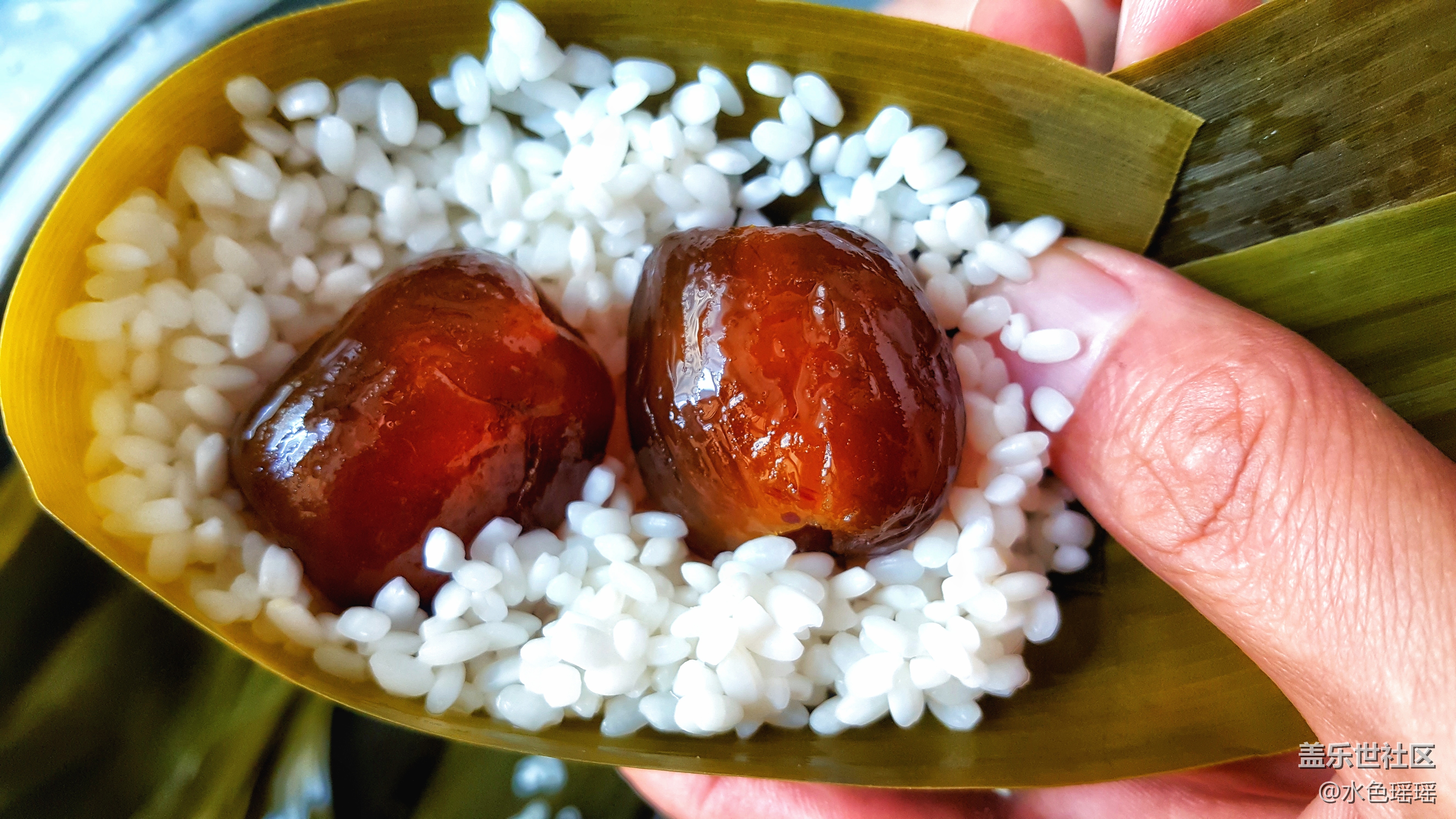 《端午習俗》+烏魯木齊+蘆葦葉包蜜棗粽子