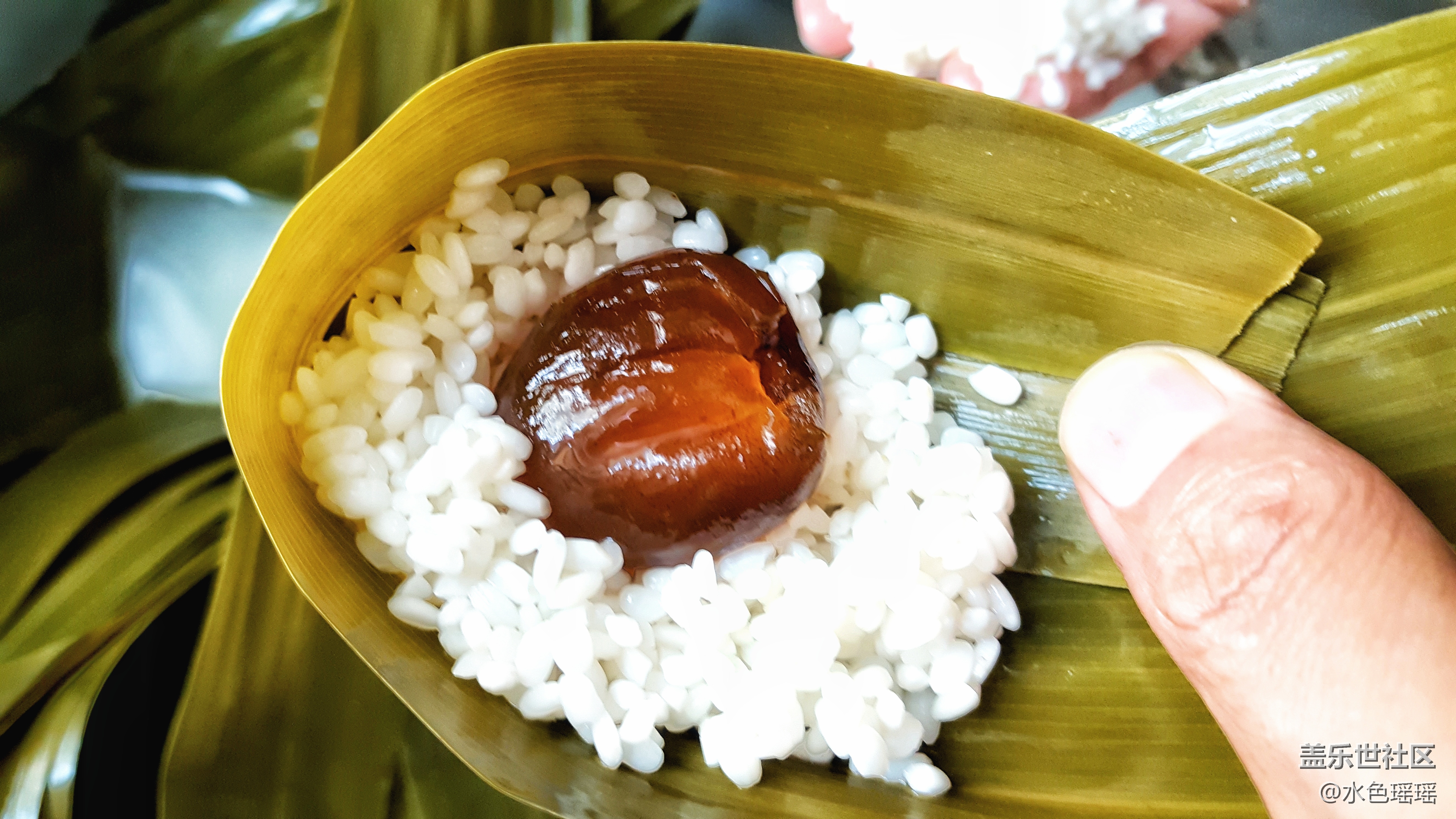 《端午習俗》+烏魯木齊+蘆葦葉包蜜棗粽子