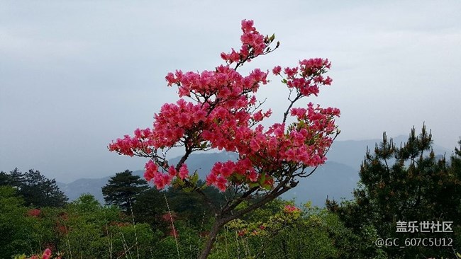 假期
