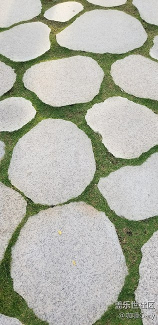 18.5：9自拍壁紙