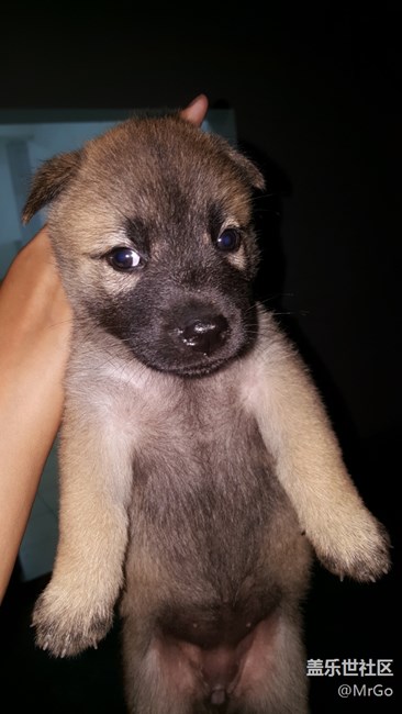 假期就這樣完了