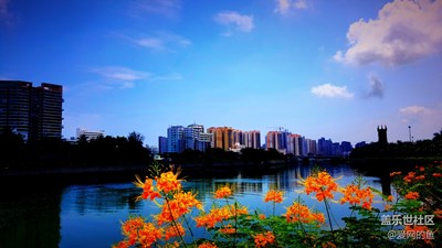 我的生活，我的藍(lán)