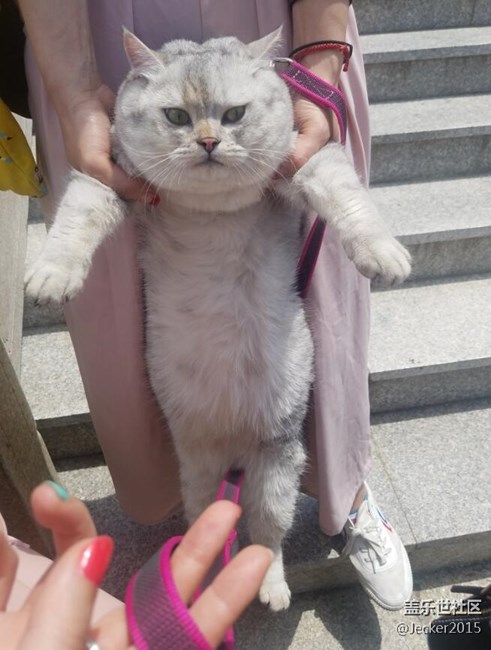 【端午自駕游】大洋山之旅，跟著漫哥爬山看海吃海鮮！