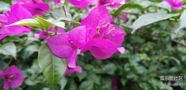 【s8曬單】使用一周后的感受！