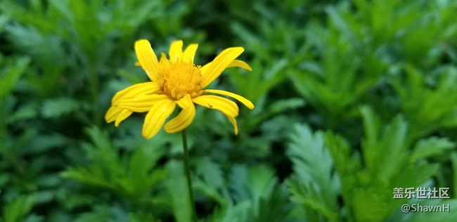 【s8曬單】使用一周后的感受！