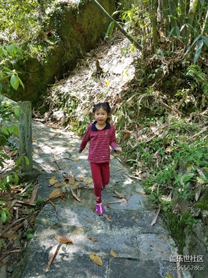 《兒童節(jié)快樂》+快樂的徒步