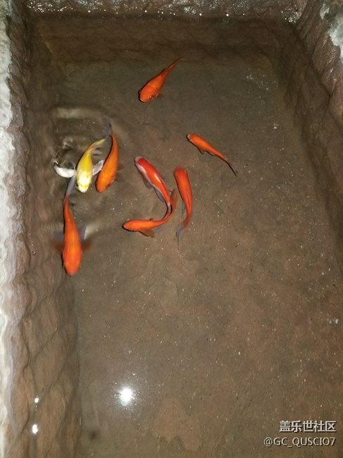 小8入手十天了，贈(zèng)品今天也已經(jīng)領(lǐng)到了