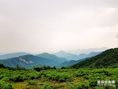 山頂