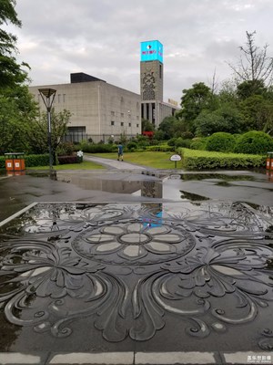 雨后路邊拾景