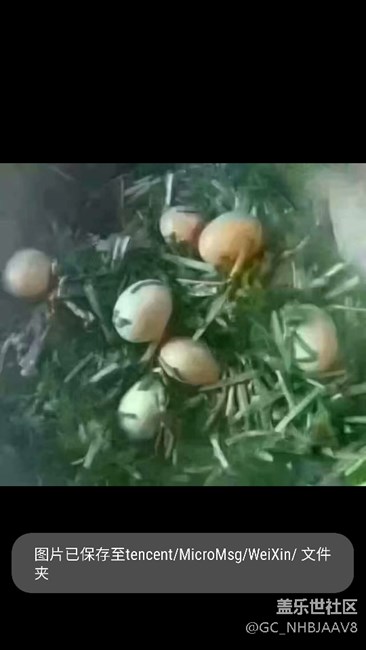 求助，如何保存圖片