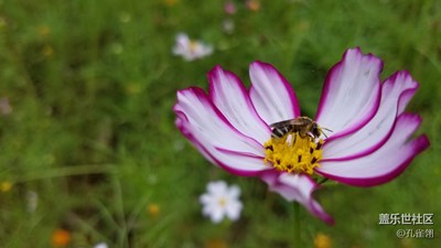 這是個(gè)花兒的季節(jié)