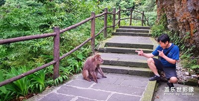 《清涼一夏》+峨眉山+我的地盤最清涼。
