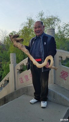 《清涼一夏》+章丘+清晨小景