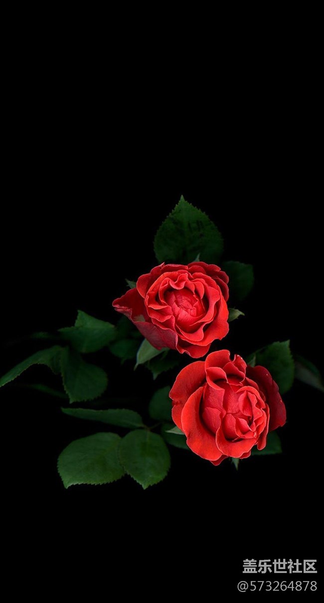 S8全屏【解決輸入法BUG，相冊(cè)、相冊(cè)編輯BUG，雙卡切換BUG】