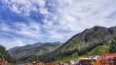 《清涼一夏》+烏魯木齊+雪嶺云杉