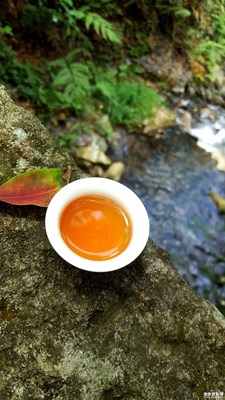 《清涼一夏》+福建南平+席地問茶香