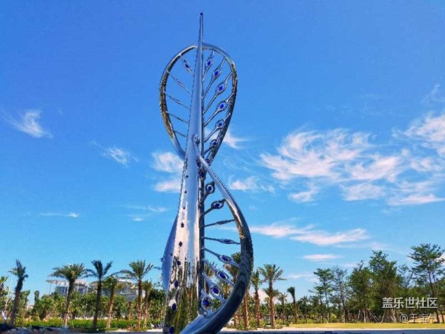 廈門星部落帆船會