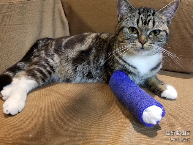 說(shuō)他是安卓機(jī)皇沒(méi)人有意見(jiàn)吧：國(guó)行 三星 Galaxy S8上手體驗(yàn)