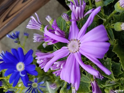 隨手一拍，找南昌的小伙伴