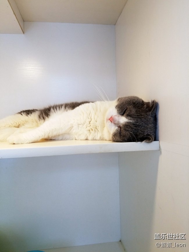 三星Galaxy S8 你想知道的都在這里 買不買看完再說