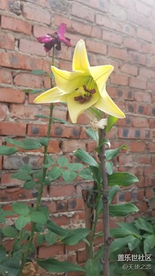 《慢生活》+洛陽+我眼中的風(fēng)景