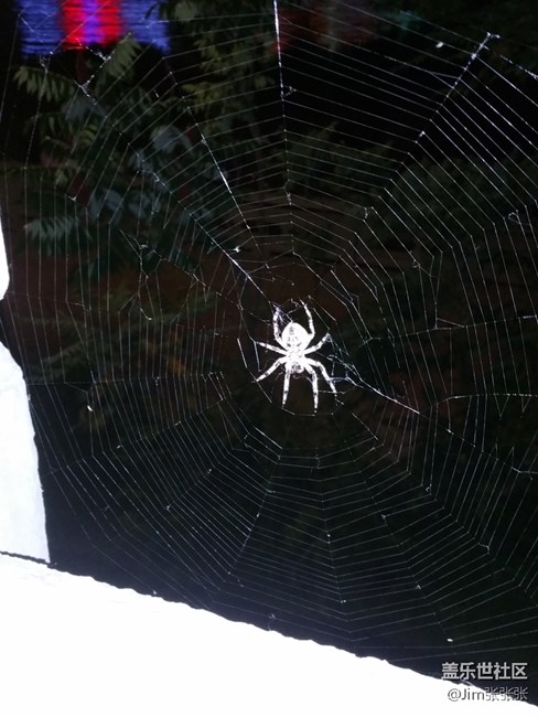 (1) 我的星！你到底行不行？！