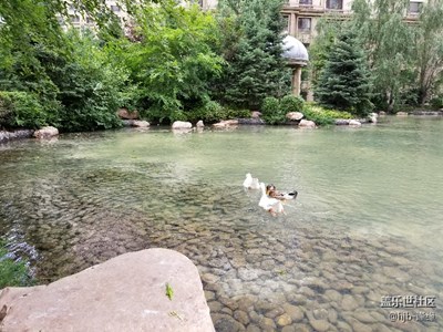 入手S8+實拍體驗