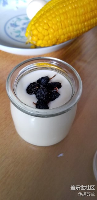 第一次手動發(fā)酵的酸奶??????