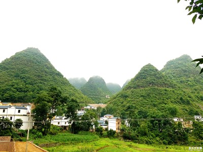 山峰，生態(tài)
