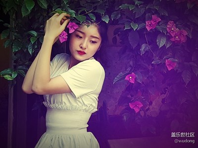 “慢生活”+成都東郊記憶+三角梅開了