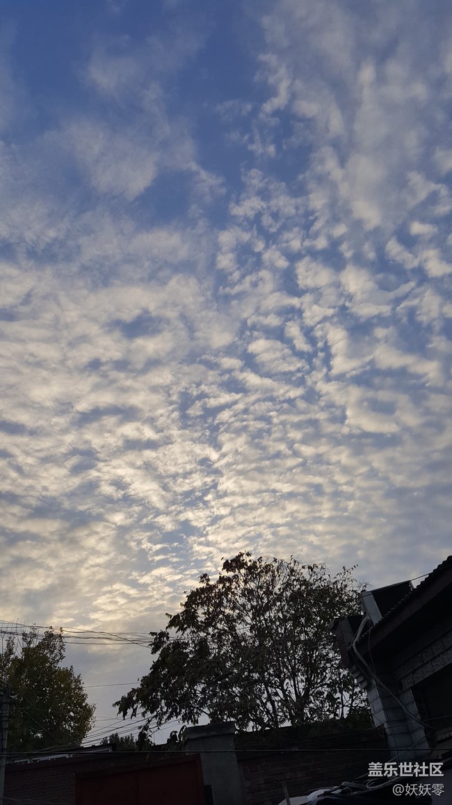 S8 | S8+ 平平淡淡的藍色