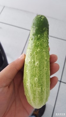 農(nóng)家樂(lè)隨拍