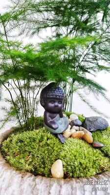 禪意小品一則