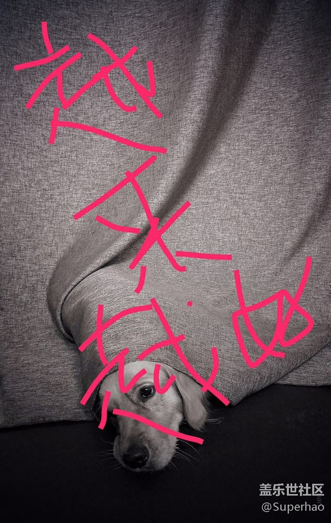 #有你的時光#+社區(qū)越來越好