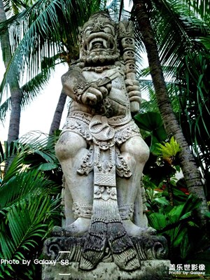 巴厘島隨手拍！