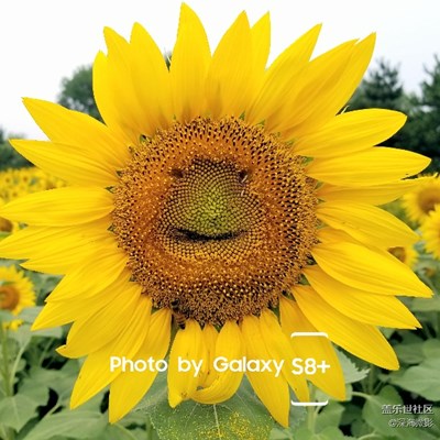 祝社區(qū)兩周歲生日快樂(lè)