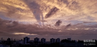 今晚的晚霞太美了，難得一見，大片的既視感。