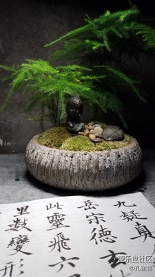 靈飛經(jīng)