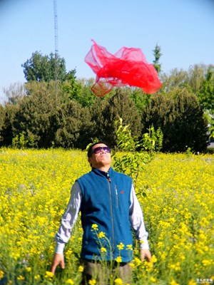 【2周年 風】+路徑身邊的風