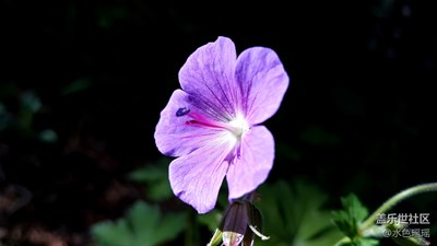 【蓋樂世社區(qū)2周年慶 】+ 韌  +哈密巴里坤+萬物生