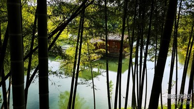 清冷澗下瀨