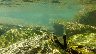 清澈的水s7e的水下拍攝
