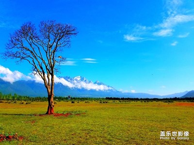 難得晴天出來曬曬太陽