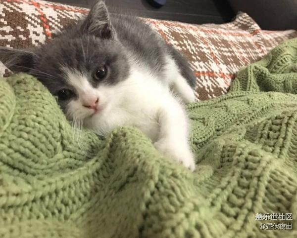 從小這么懶，是不是早戀了