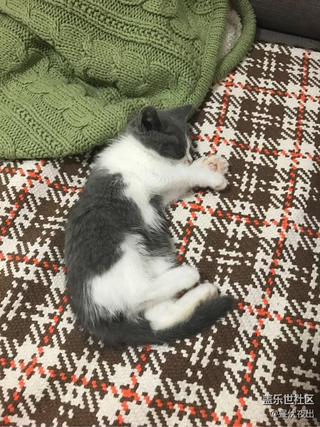 從小這么懶，是不是早戀了