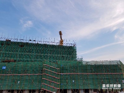 建筑狗，建筑完成了它的使命就升華為藝術